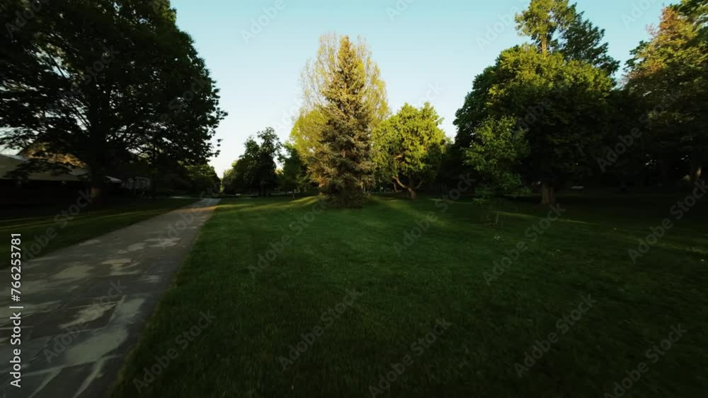 Aerial: Drone Forward Shot Of Green Plants And Trees In Tranquil Park Against Clear Sky - Ontario, Canada Aerial: Drone Forward Shot Of Green Plants And Trees In Tranquil Park Against Clear Sky - Ontario, Canada