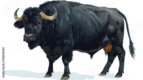 A big black buffalo cow is an animal nature photo © Megan