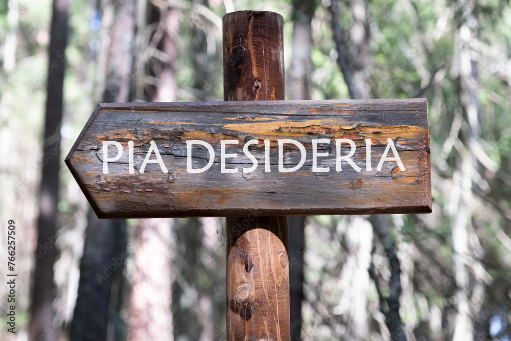 PIA DESIDERIAPIA the phrase in Latin means Good intentions on a wooden signpost against a forest background