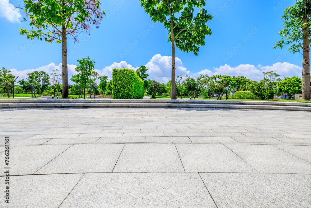 Fototapeta premium Road and trees background in city park