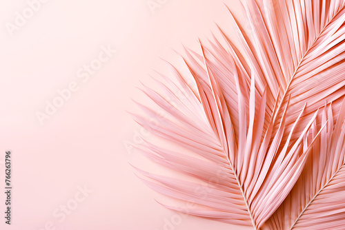 Elegant coral palm leaves against a pastel peach background evoke a tropical and delicate ambiance, making them ideal for gentle aesthetic themes and creative design.