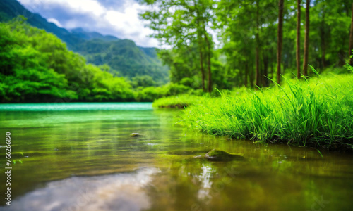 river in the forest
