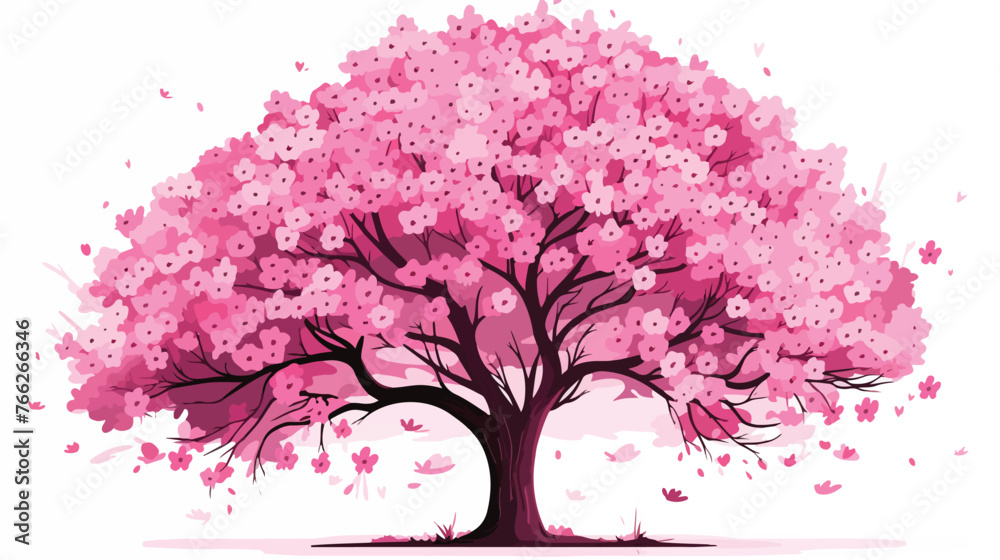 Cherry blossom tree isolated on white background
