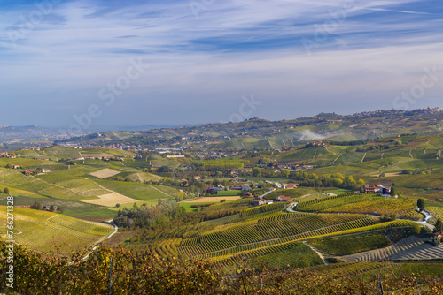 autumnal vineyards, Piedmont, Italy