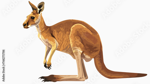 Illustration of a kangaroo Flat vector