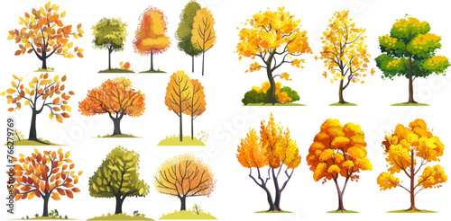 Colorful garden tree, autumnal garden bush and fall season tree leaves