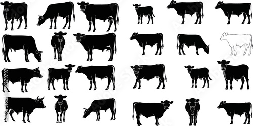 Farm livestock cow pictogram or countryside domestic milk cows, calf and bulls. Isolated vector icons set photo