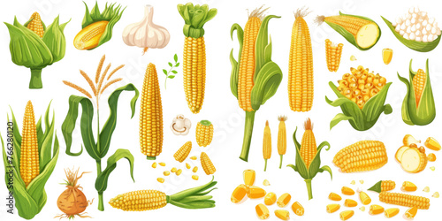 Ear of corn, delicious vegetables or corns cob