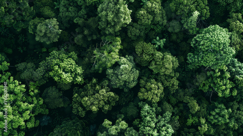 An aerial shot of a dense, vibrant forest canopy, a bastion of natural tranquility.