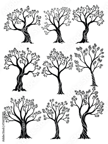 Olive trees set with branches and leaves for design of packaging, label, logotype or banner. Natural organic stylized olive icon, premium quality sign. Vector illustration