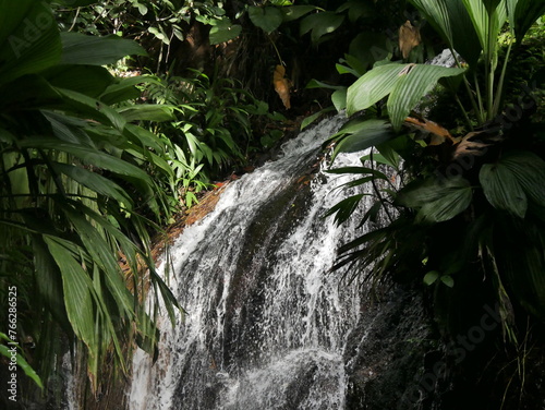 Close up of fresh water cascade de Bis in Guadeloupe, West indie