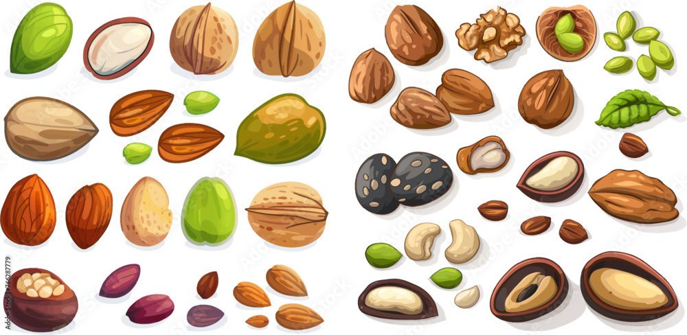 Cartoon seeds and nuts