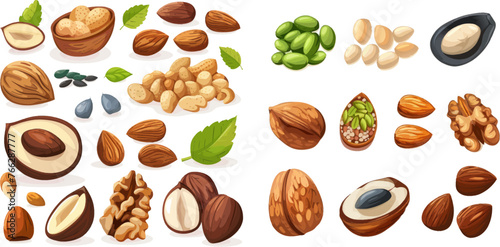 Nut food vector illustration se