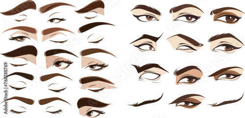 Various eyebrows types