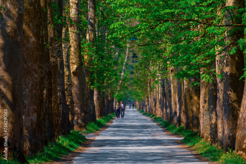 Great Lane in Vrelo, Bosne, Bosnia and Herzegovina photo