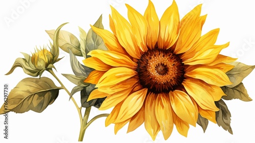 Watercolor sunflower clipart with bold yellow petals and a brown center