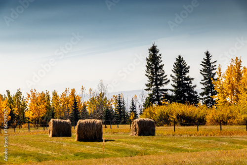 Hay bales in a fall harvested field. Rockyview County, Alberta, Canada