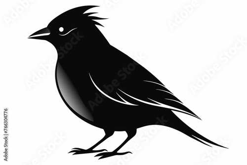  Waxwing bird silhouette vector illustration