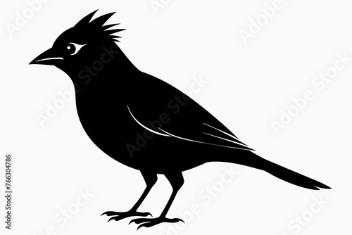  Waxwing bird silhouette vector illustration © Mohammad