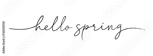 Hello spring calligraphy and brush pen lettering. Hand drawn holiday ink illustration. Isolated on white. Design for greeting card text, invitation, poster. Modern style typography background. © DDDART