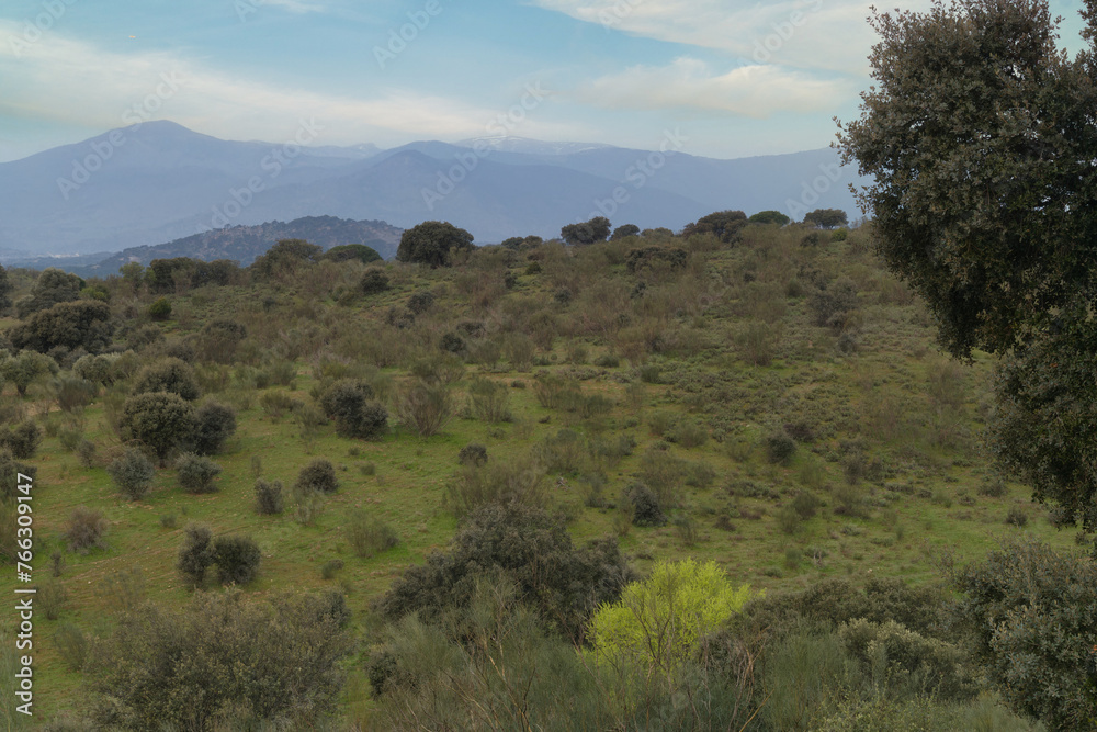 Obraz premium landscape, view, sunrise, nature, flora, spain, plants, spring,