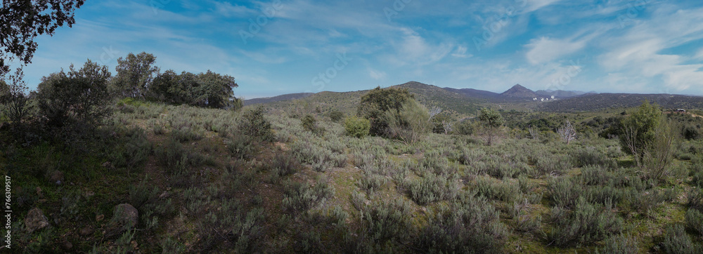 landscape, view, mountains, plants, trees, hiking, tourism, natu landscape, view, mountains, plants, trees, hiking, tourism, natu