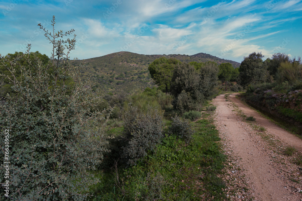 landscape, view, mountains, plants, trees, hiking, tourism, natu landscape, view, mountains, plants, trees, hiking, tourism, natu