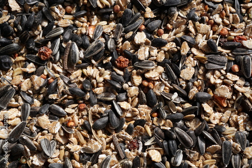 Close up of mixture of bird seeds, including oilseeds like unpeeled sunflower seeds and Oats