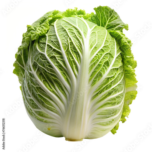Chinese cabbage in isolated white background