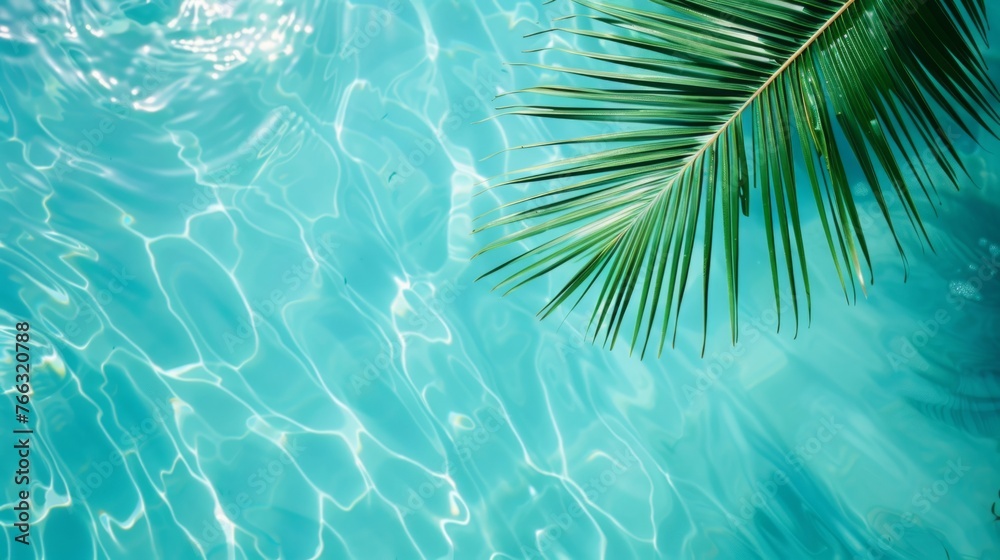 Palm leaf on background of openwork blue clear sea, minimalism, summer concept close up. - obrazy, fototapety, plakaty 