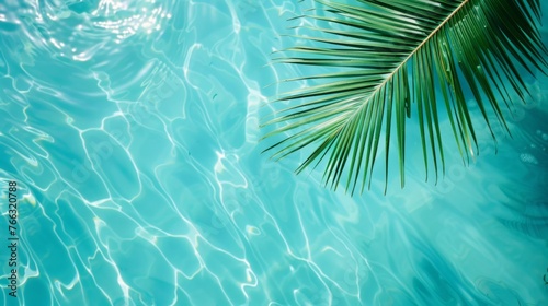 Palm leaf on background of openwork blue clear sea, minimalism, summer concept close up. © Sanja