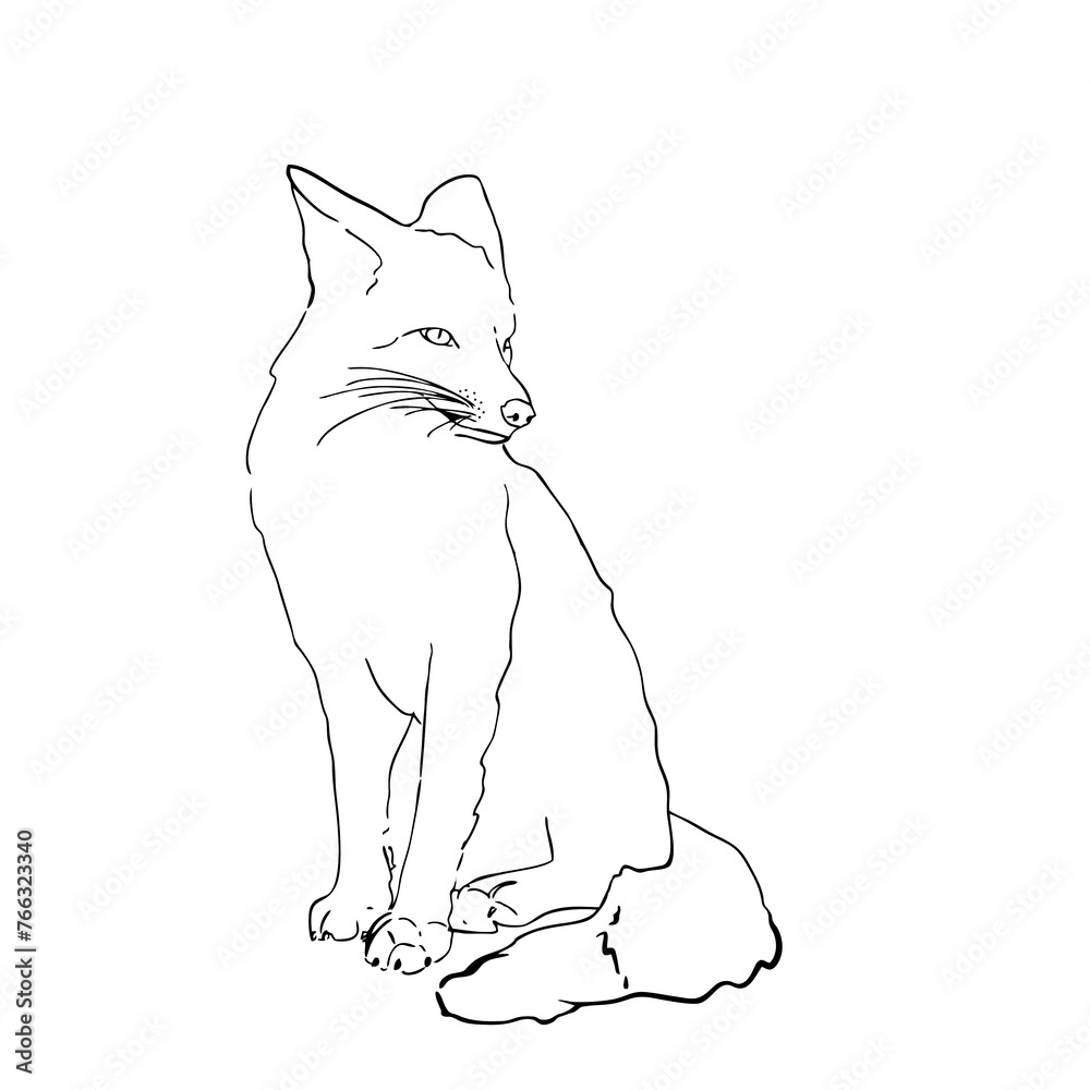 Fototapeta premium The fox is a black icon