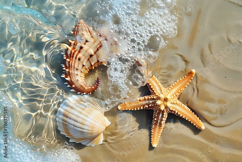 starfish and shells on the beach. Generative AI