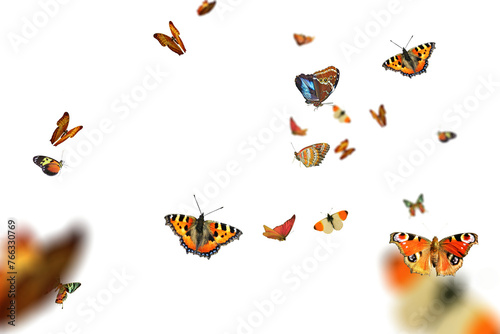Flying Butterflies Overlays
