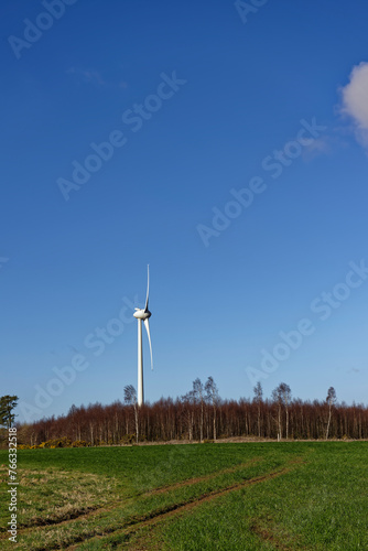 A large Wind Turbine set on the periphery of a Birch Woodland at the top of the Hill of Stracathro on a sunny day in March. photo