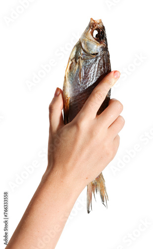 Dried dry fish ram, roach, bream, flatfish are held by female hand on a white background isolated. Beer snack. photo