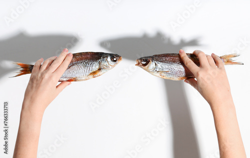 Dried dry fish taranka, ram, roach, bream, flatfish are held by female hands on a white background. Beer snack. photo
