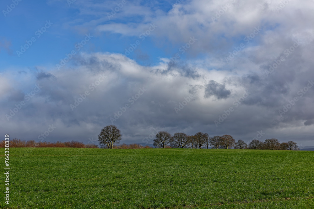 A line of Bare Trees at the top of the Hill of Stracathro with dark clouds building under a blue sky on a windy day in March. A line of Bare Trees at the top of the Hill of Stracathro with dark clouds building under a blue sky on a windy day in March.