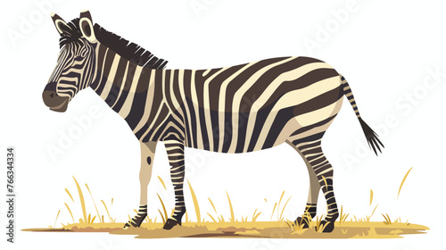 Grevys Zebra standing on a grass at Lake Nakuru