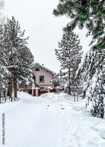 Snowy village: road, house and trees. © Elena
