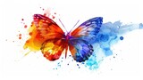 Colorful abstract watercolor butterfly on a white background. Vector