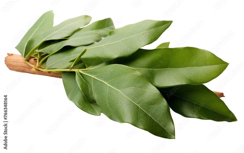 Bay Leaves Arranged on a Kitchen Surface Isolated on Transparent Background PNG.