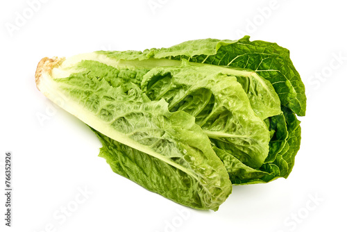 Fresh green Romaine Lettuce (Lactuca sativa), isolated on the white background.