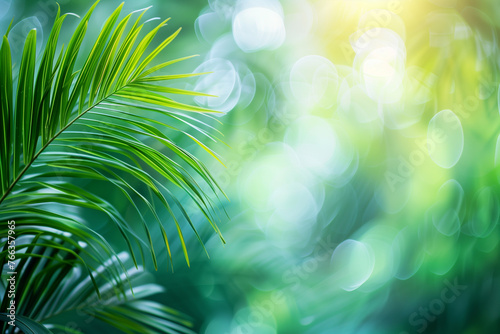 Green Summer Banner With Copy Space With Palm Leaves and Sunny Bokeh on Background