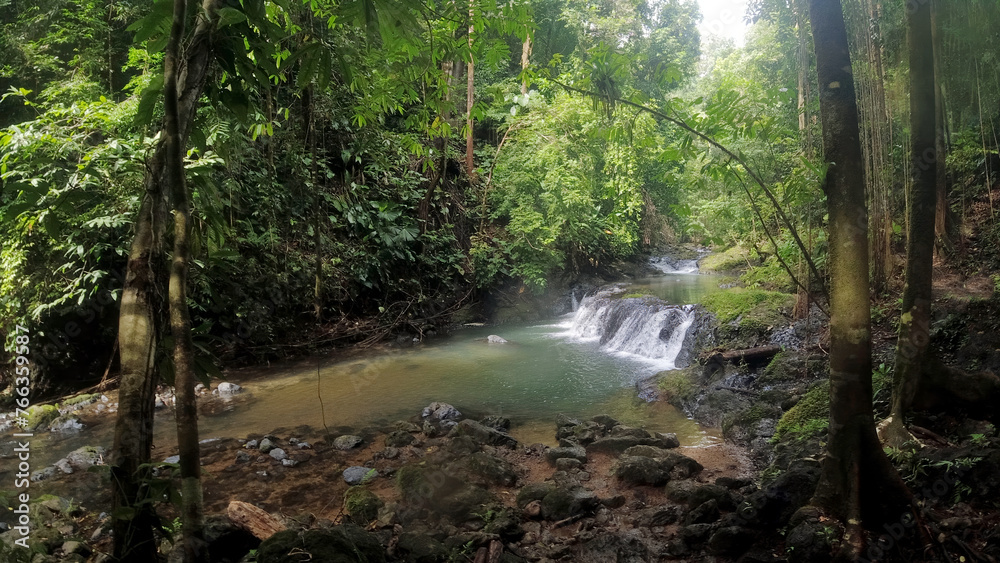 Fototapeta premium small river in the corcovado jungle
