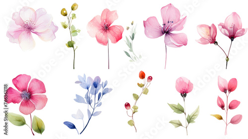 Set of watercolor wildflowers painting isolated on clear png background and transparent background. Fresh and nature concept for nature decorative and flower element, AI generative.	