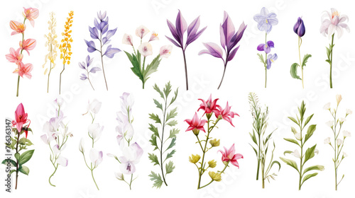Set of watercolor wildflowers painting isolated on clear png background and transparent background. Fresh and nature concept for nature decorative and flower element, AI generative. 