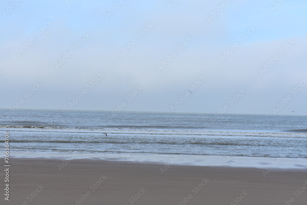 Belgium's coast in winter with sandstorms and sunshine