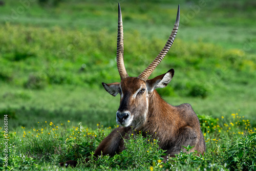 Nikon D7200