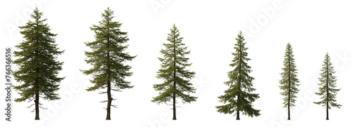 Larix decidua the European larch tree frontal set evergreen pinaceae needled tree isolated png medium and small on a transparent background perfectly cutout photo